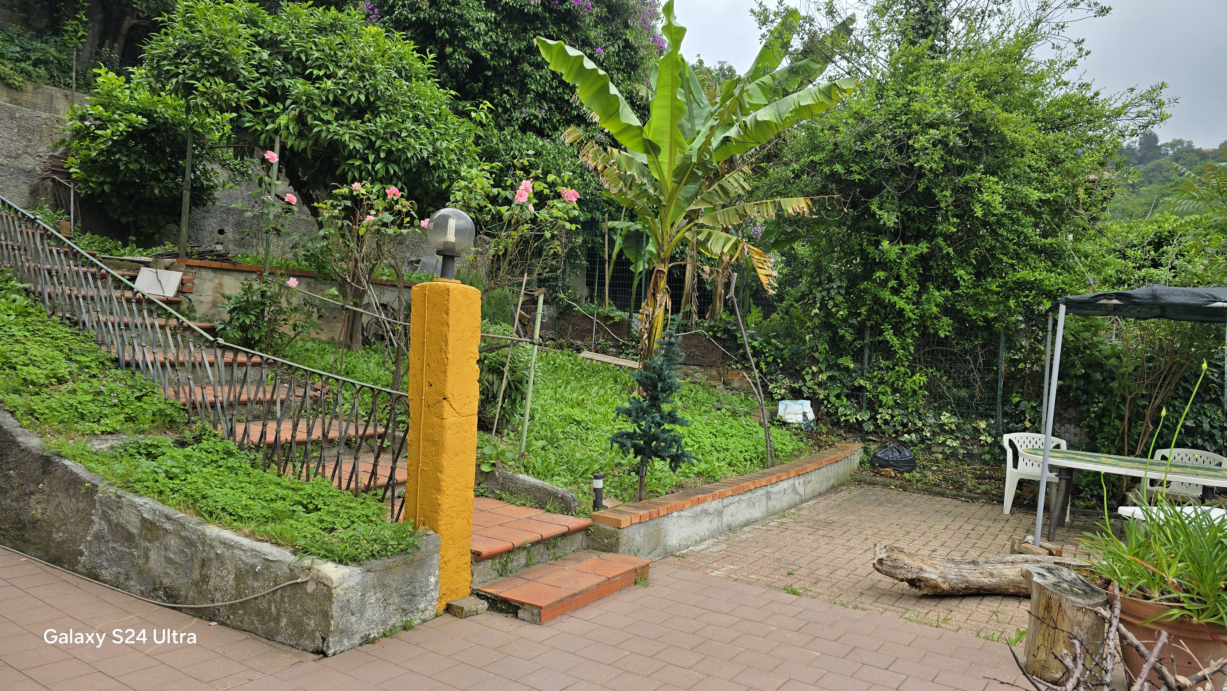 vendesi salita morchio con terreno giardino