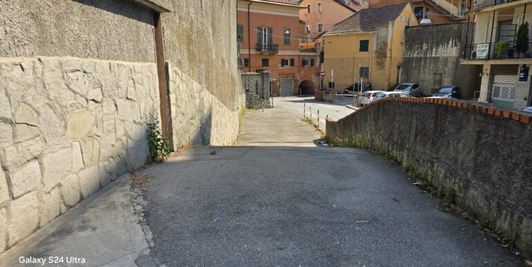25-50 (5)