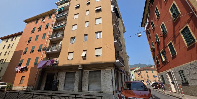 25-55 (1)